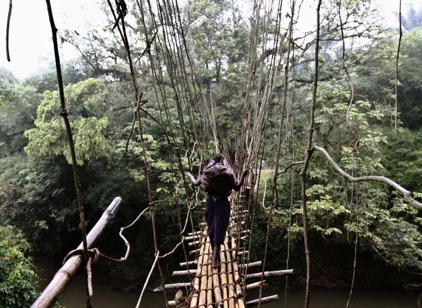 Bamboo is hugely versatile and has wide range of uses all over the world. Pictured, a young girl walks across a makeshift bridge made out of bamboo in the Democratic Republic of Congo. 