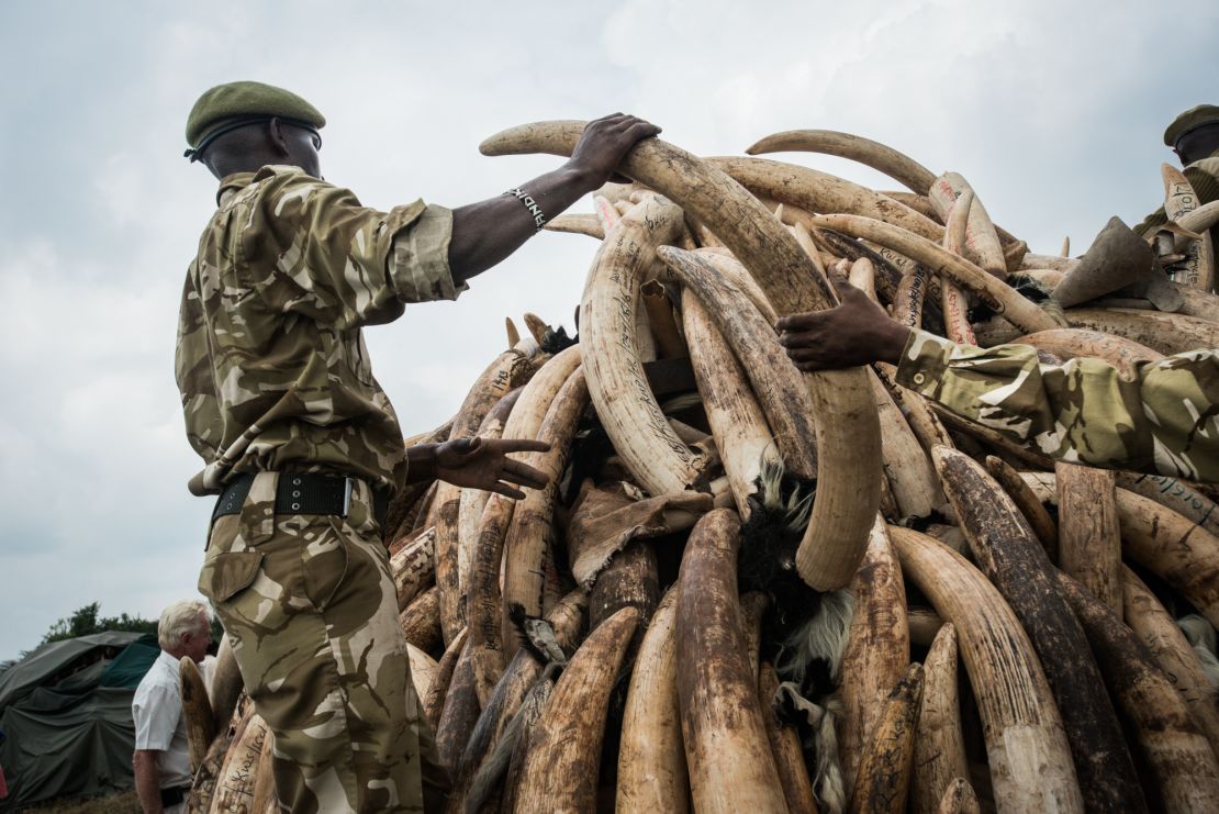 A KWS ranger stacks one of the ivory pyres.