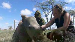 kenya orphan rhino baby robyn kriel pkg_00005421.jpg
