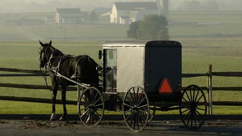 An Amish horse-drawn buggy.