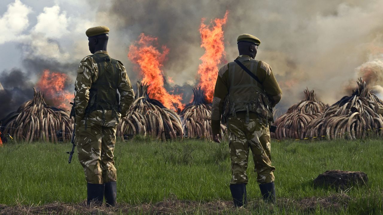 Kenyan President Uhuru Kenyatta called for an end to "murderous" trafficking and to fight against the extinction of elephants in the wild.