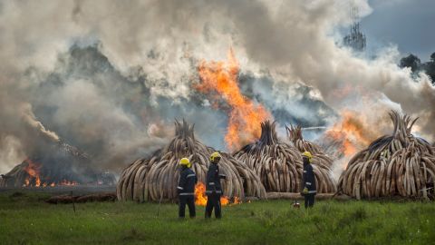 Firemen stand by at the ready as pyres of ivory are set on fire in Nairobi National Park, Kenya Saturday, April 30, 2016. The pyres will take about a week to completely burn.