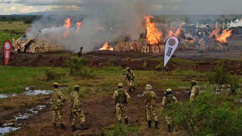 Kenya Wildlife Services rangers stand guard around illegal stockpiles of burning elephant tusks, ivory figurines and rhinoceros horns at the Nairobi National Park April 30.