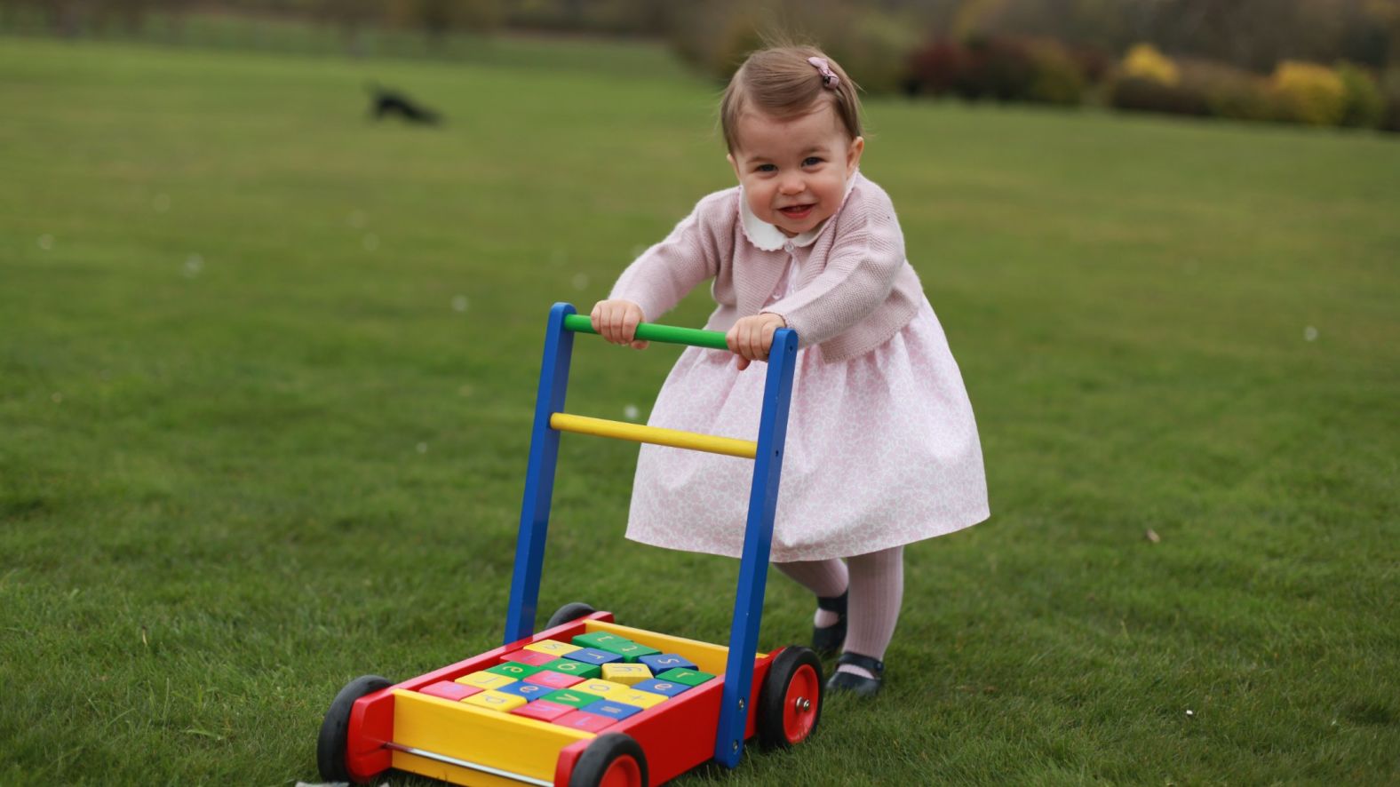 Kensington Palace released four photos of Princess Charlotte ahead of <a  target="_blank">her first birthday</a> in May 2016.