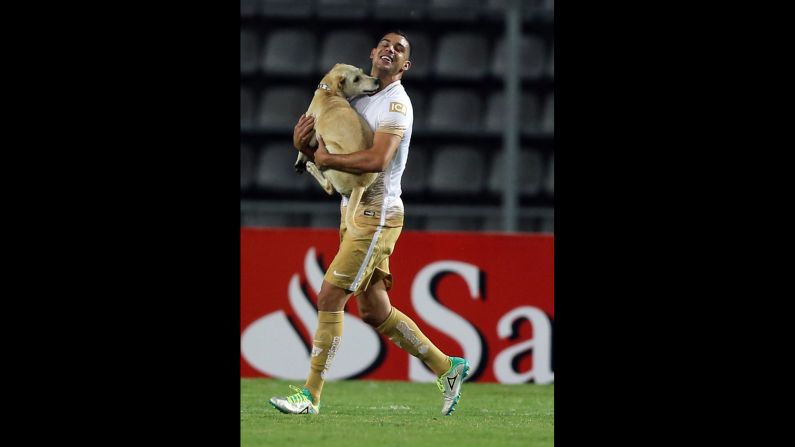 Soccer player Gerardo Alcoba carries away a stray dog that ran onto the field Tuesday, April 26, during a Copa Libertadores match in San Cristobal, Venezuela.