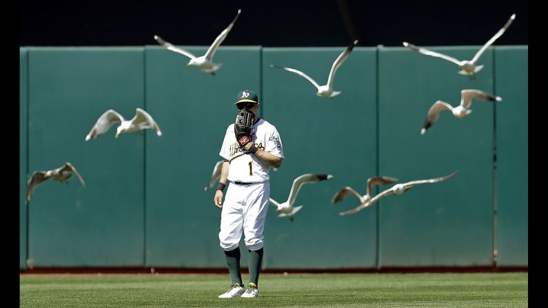 Birds fly near outfielder Billy Burns during a Major League Baseball game in Oakland, California, on Sunday, May 1.