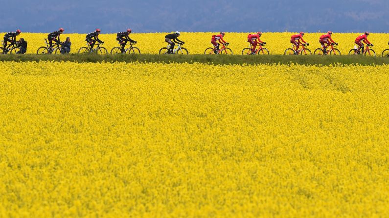 The peloton cruises by a flower field in Geneva, Switzerland, during the fifth stage of the Tour de Romandie on Sunday, May 1. <a href="index.php?page=&url=http%3A%2F%2Fwww.cnn.com%2F2016%2F04%2F26%2Fsport%2Fgallery%2Fwhat-a-shot-sports-0426%2Findex.html" target="_blank">See 29 amazing sports photos from last week</a>