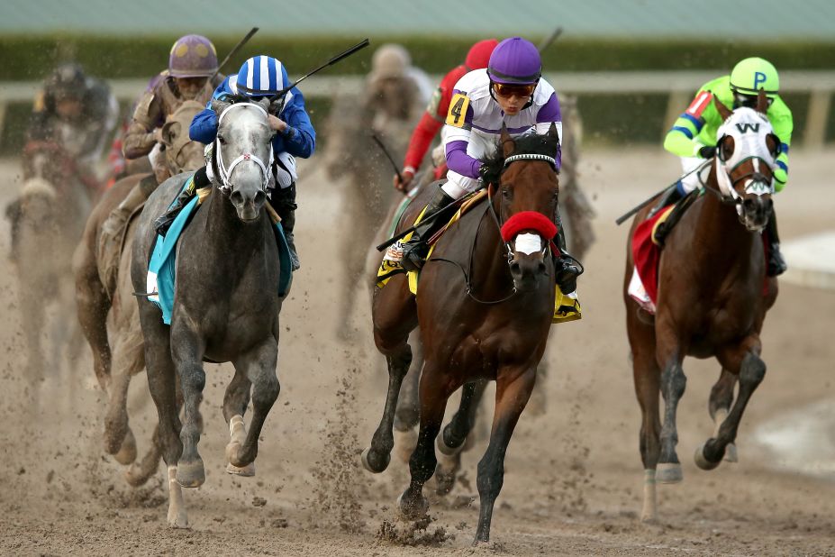 Nyquist #4, ridden by Gutierrez, leads Mohaymen #9, ridden by Junior Alvarado, out of turn four during the 2016 Florida Derby at Gulfstream Park April 2, 2016 in Hallandale, Florida. 
