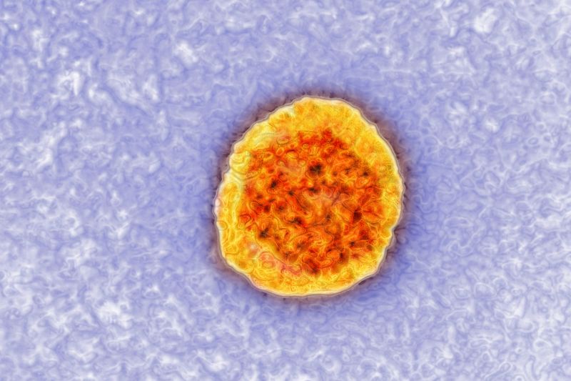 hepatitis c virus microscope