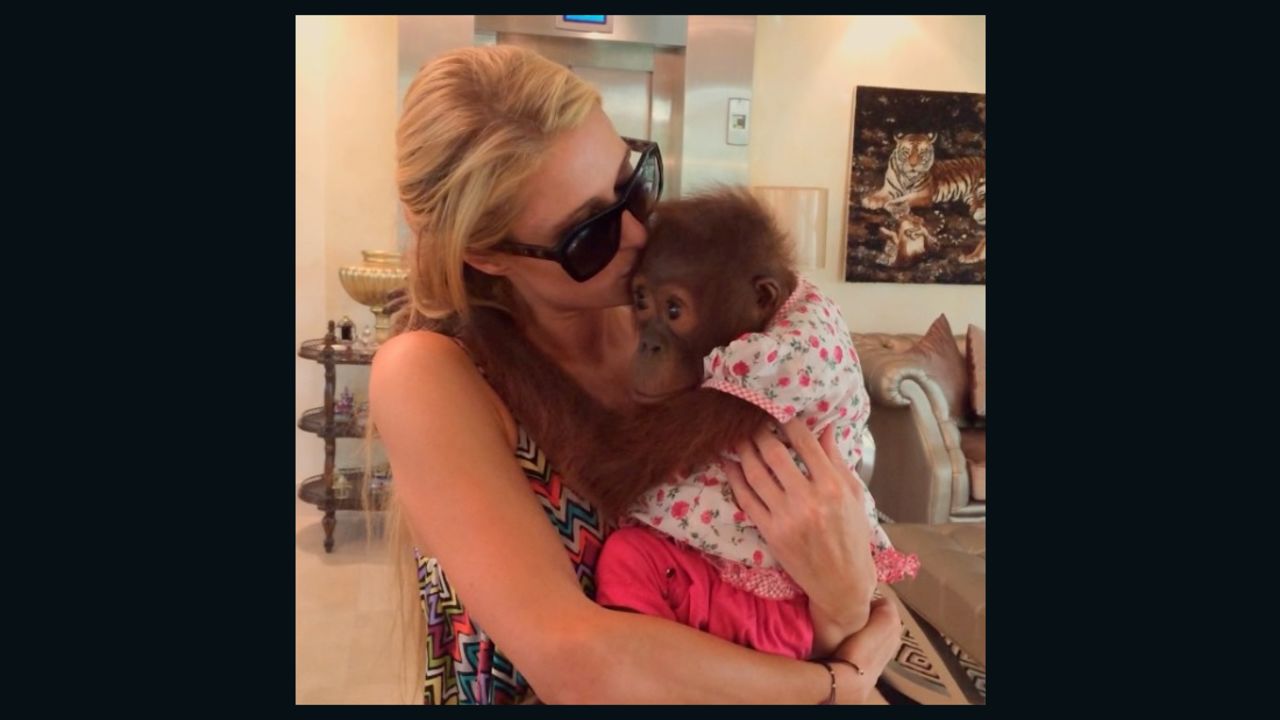 Paris Hilton poses with an orangutan on her Instagram account. 