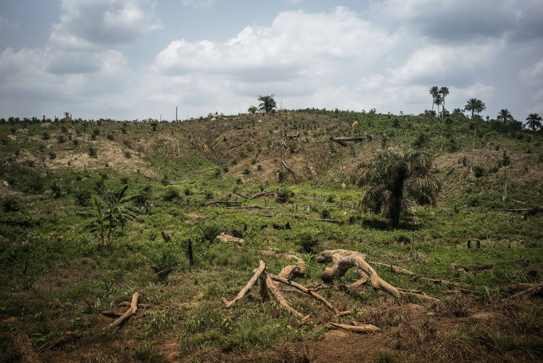 A picture taken on April 28, 2016 shows the intense deforestation for land clearing in order to produce palm oil in Lofa county in northern Liberia. 