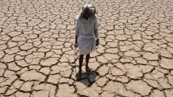 An Indian farmer poses in his dried up cotton field at Chandampet Mandal in Nalgonda east of Hyderabad on April 25, 2016, in the southern Indian state of Telangana.
Some 330 million people are suffering from drought in India, the government has said, as the country reels from severe water shortages and desperately poor farmers suffer crop losses. / AFP / Noah SEELAM        (Photo credit should read NOAH SEELAM/AFP/Getty Images)