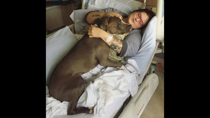 After being in the hospital for two weeks, Fuggetta asked her friends to bring their animals to visit her. Her friends brought in a pit bull to keep Fuggetta's spirits up.  