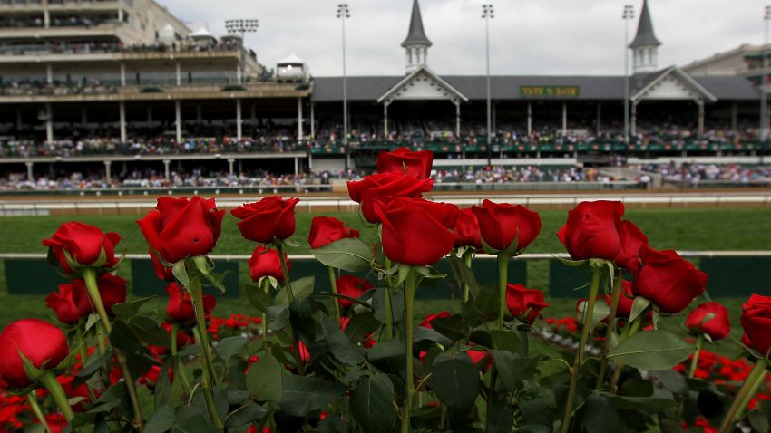 LOUISVILLE, KY - MAY 05:  Roses are seen from the winner's circle prior to the the 138th running of the Kentucky Derby at Churchill Downs on May 5, 2012 in Louisville, Kentucky.  (Photo by Jamie Squire/Getty Images)
