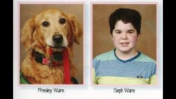 Presley, a service dog, appears alongside her companion, seventh grader Seph Ware, in the yearbook.