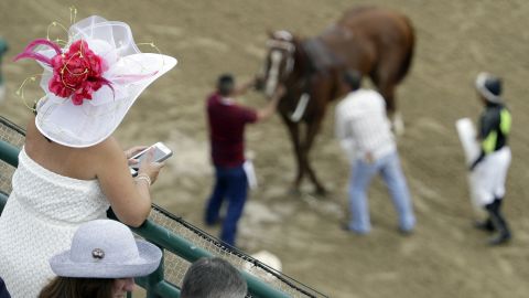 A fan watches as trainers prepare a horse for an early race.