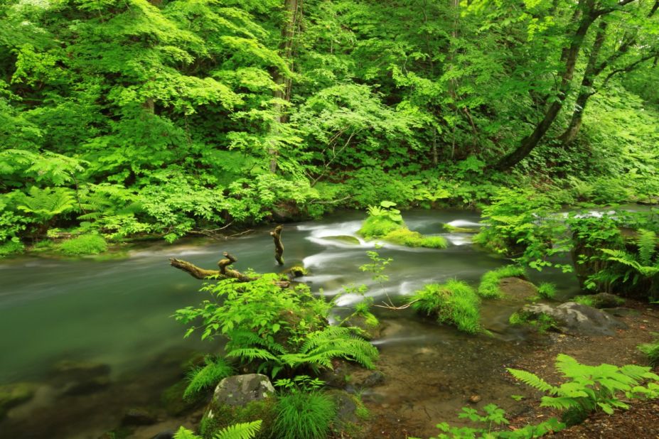 <strong>Towada-Hachimantai National Park (Aomori prefecture): </strong>The park is made up of two areas -- Hachimantai and Towada-Hakkoda, the latter of which includes Honshu's largest crater lake, Lake Towada, and most of the Oirase River valley that exits into the Pacific Ocean.