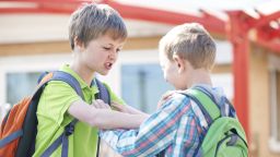 bullying school fight