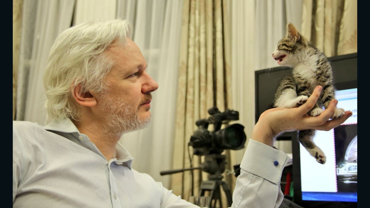 Assange's new feline companion. 
