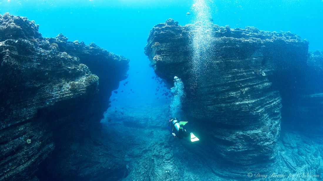 Restrictions on access and remote location off Kauai have kept the fabled reefs around Ni'ihau off the radar. But experienced hands say the diving is some of the best in Hawaii.