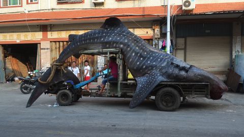 Fisherman in Fujian claimed to have thought this whale shark was a "sea monster."