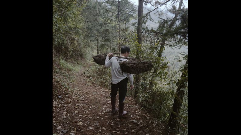 Yu Guojiang, 63, carries manure to his field in China's Yeli village. His wife and son have already left as part of China's plans to move 2 million villagers into the cities of Guizhou province. The aim of the government is to ease rural poverty and narrow the income inequality gap.