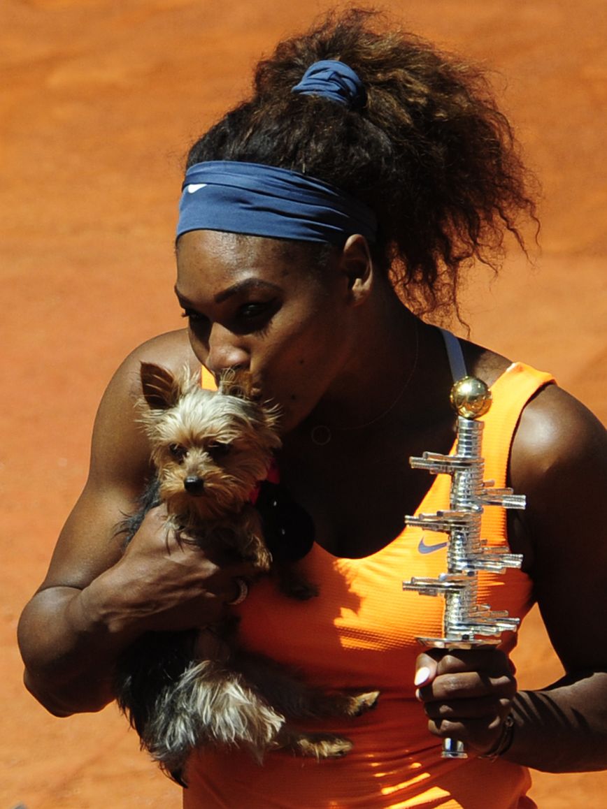 Serena Williams tries dog's food ... and pays the price | CNN