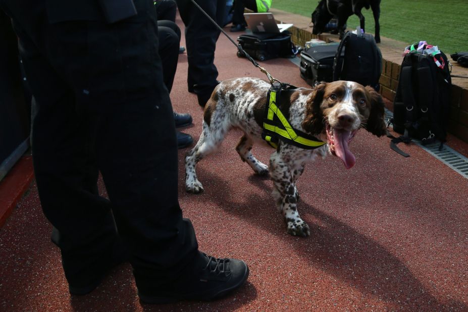 Before the abandonment of the match was confirmed, and once areas of the stadium had been evacuated, sniffer dogs were brought in to search the stands.