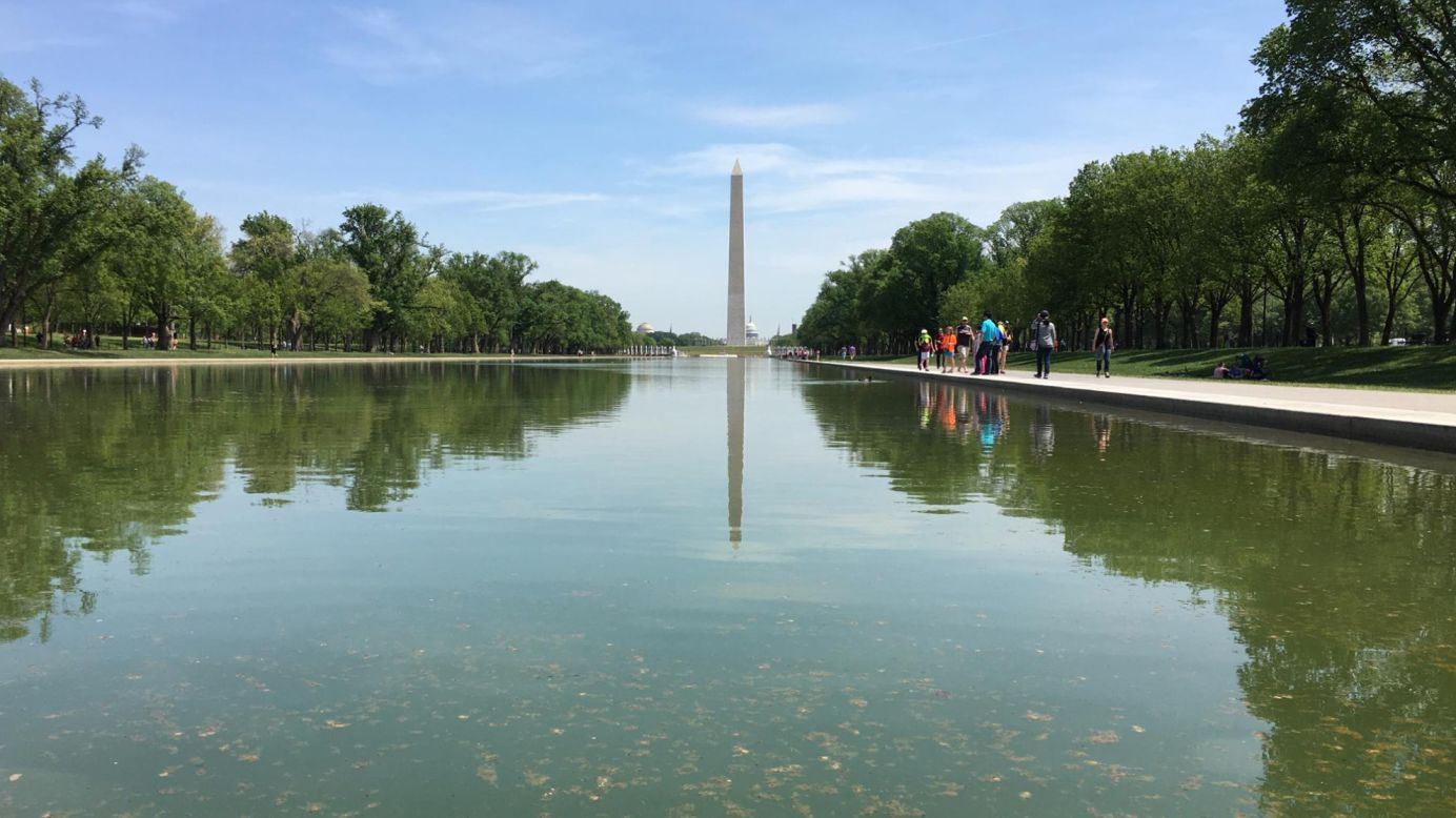 The site of Martin Luther King, Jr.'s "I Have a Dream" speech, the Lincoln Memorial Reflecting Pool has served as the backdrop for a wide range of historic events.