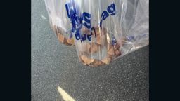 This copperhead snake bit a customer at a Lowe's in Denver, North Carolina, on Monday, May 16, 2016
