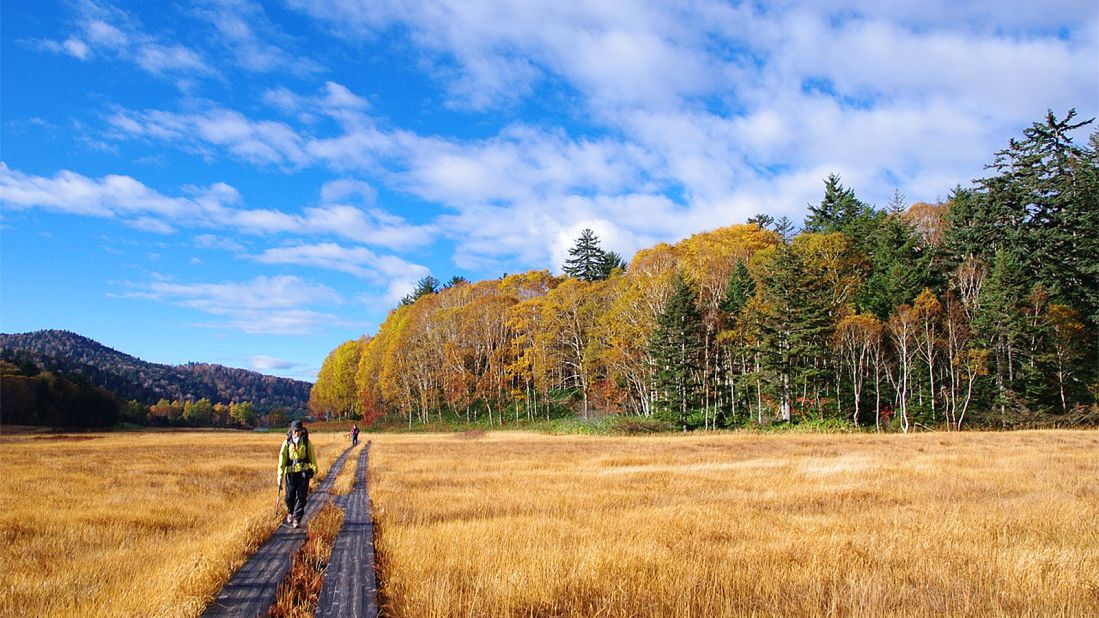 <strong>Oe Wetlands (Fukushima prefecture):</strong> Wooden paths have been placed through the Oe Wetlands in Fukushima's Hinoemata village. The prefecture lures travelers to its many beautiful natural sites.  