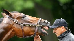 ELMONT, NY - JUNE 05:  Handle JuanRamirez holds onto American Pharoah during a bath after training at Belmont Park on June 5, 2015 in Elmont, New York.  (Photo by Al Bello/Getty Images)