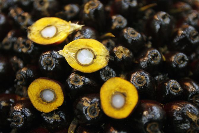 The global palm oil industry was worth $62 billion in 2016. Pictured, palm kernels, which can be used to make the oil.