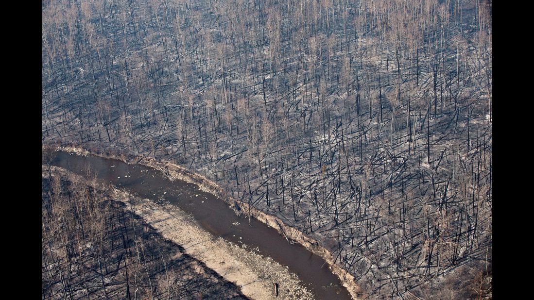 Burned trees dot the landscape in Fort McMurray on May 13.