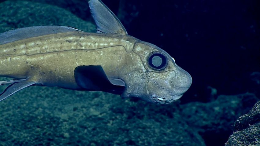 NOAA Marianas Expedition 1