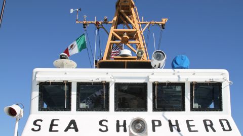 The Sea Shepherd is an environmental group's ship fighting fish bladder smuggling.