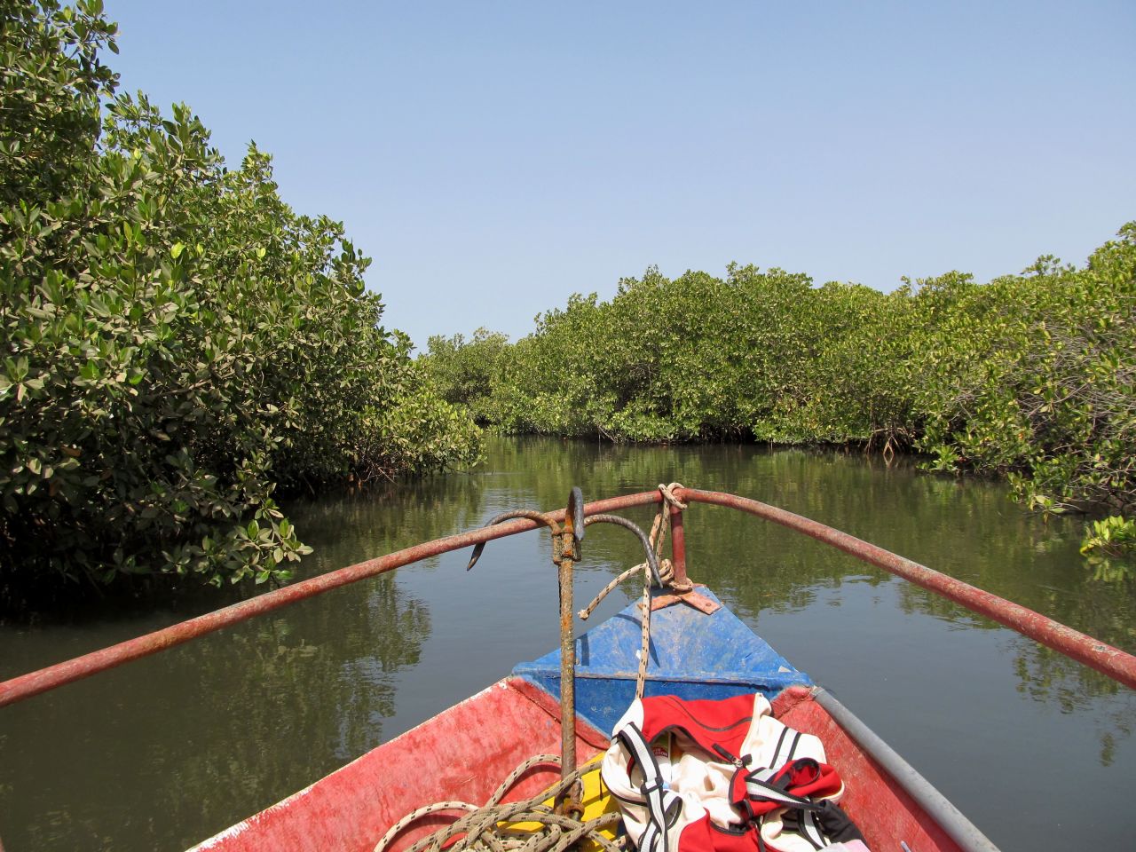 Time slows down with a journey into the Sine Saloum region's labyrinth of mangrove creeks. 