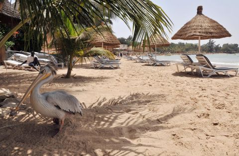 About an hour and a half from Dakar, the resort town of Saly draws sunseekers to its beautiful shores.