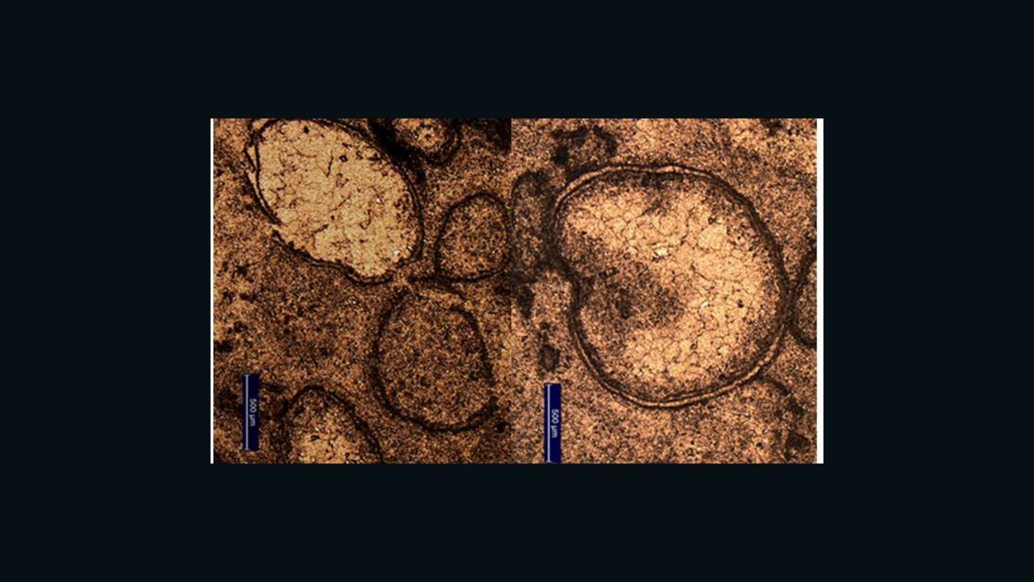 Magnified glass spherules, evidence of an ancient asteroid impact.