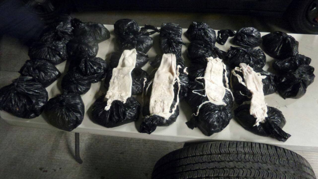 The fish bladders are smuggled through North America toward Asia.