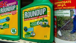 This picture taken on June 15, 2015 shows a bottle of Monsanto's 'Roundup' pesticide in a gardening store in Lille. French Ecology Minister Segolene Royal announced on June 14, 2015 a ban on the sale of American biotechnology giant Monsanto's popular weedkiller from garden centres, which the UN has warned may be carcinogenic. The active ingredient in Roundup, glyphosate, was in March classified as "probably carcinogenic to humans" by the UN's International Agency for Research on Cancer (IARC). AFP PHOTO / PHILIPPE HUGUEN        (Photo credit should read PHILIPPE HUGUEN/AFP/Getty Images)