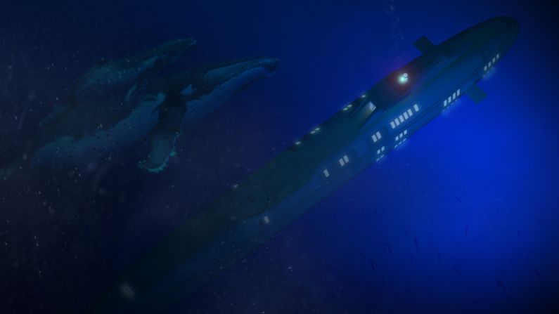 "Privacy and intimacy is a main advantage of the Migaloo Private Submersible Yacht, while exploration of marine life is also much easier if you're already submerged," Gumpold said. "Safe traveling in rough seas is another advantage -- you just submerge and travel in total calm waters."