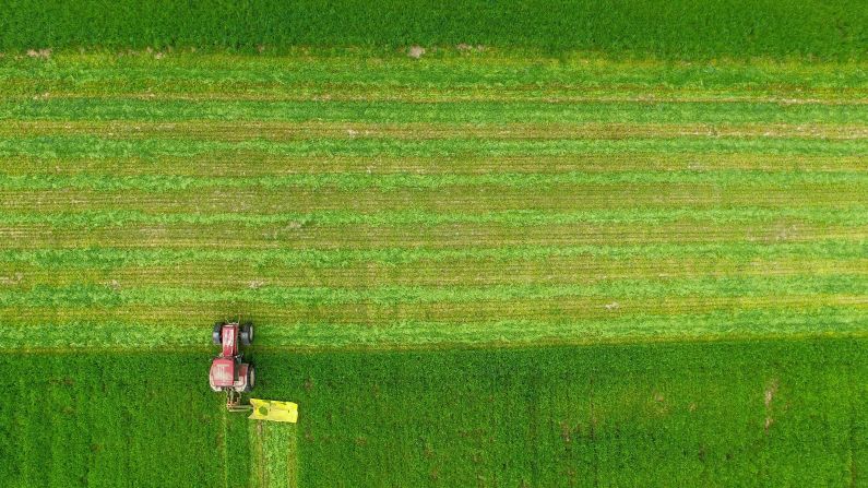 A farmer reaps fodder on a field near Treplin, Germany, on Monday, May 16.