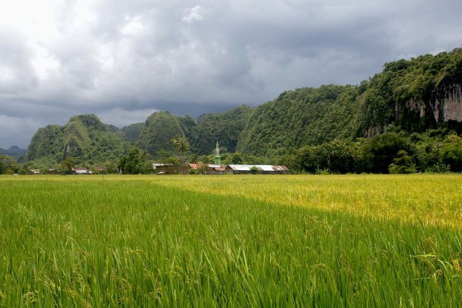 The Maros-Pangkep karst area contains hundreds of caves, many as yet unexplored.