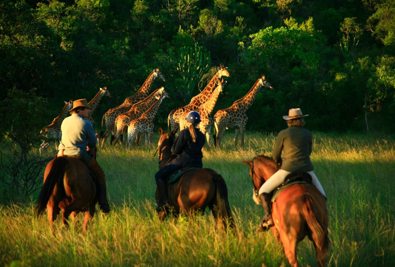 At Ant's Nest and Ant's Hill visitors can go wildlife-watching on horseback.