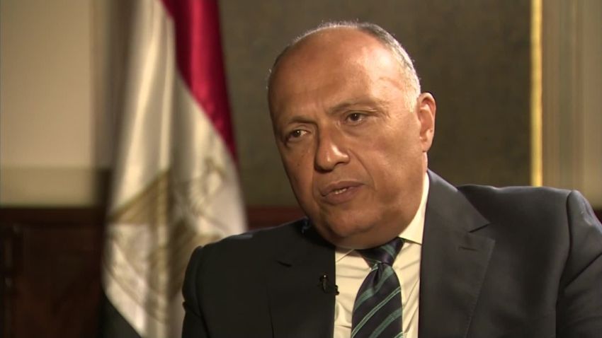 Sameh Shoukry Egypt's Foreign Minister Egyptair intv_00023426.jpg