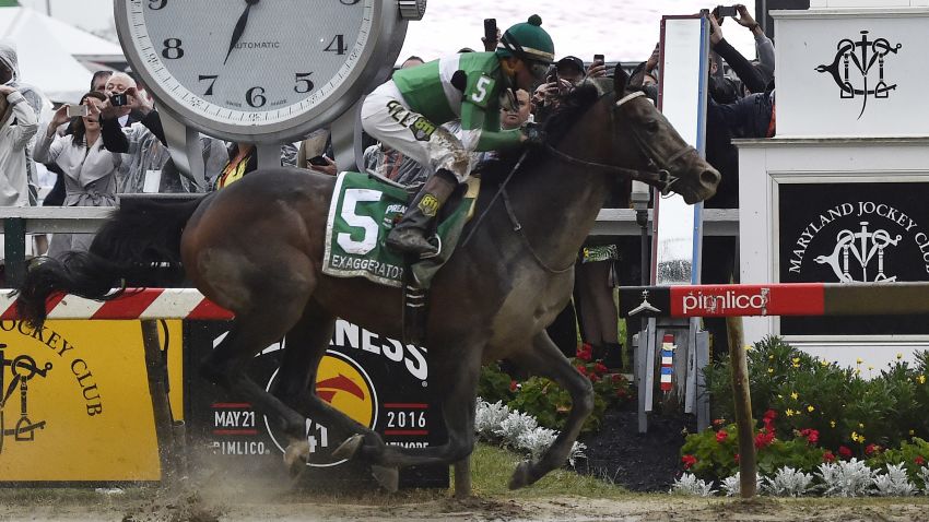 Exaggerator with Kent Desormeaux aboard wins the 141st Preakness Stakes horse race at Pimlico Race Course, Saturday, May 21, 2016, in Baltimore.  (AP Photo/Mike Stewart)