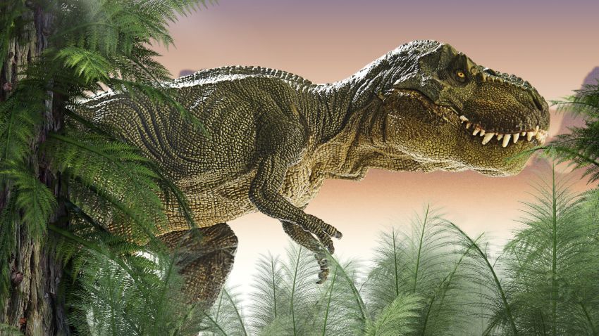 t-rex illustration