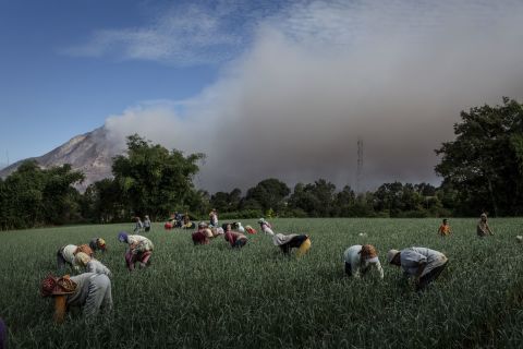 Farmers work in the fields as smoke rises from Mount Sinabung in June 2015. A 4-kilometer (2.5-mile) area around the mountain was declared a danger zone in 2014 and residents told to evacuate, but people still returned to tend to their homes and land. <br /> 