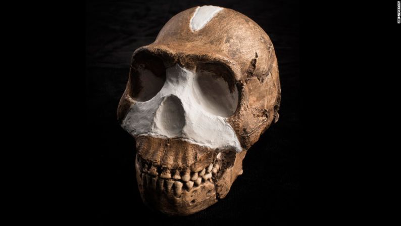 Homo naledi, discovered in South Africa, shares some features with modern humans (similar size and weight) and some features with earlier ancestors.